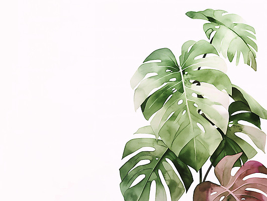 JPG 일러스트 자연 나뭇잎 열대 수채화 미술 사람없음 초록색 여름 질감 몬스테라 카피스페이스 트로피컬아트 국내일러스트 AI일러스트 AI콘텐츠 식물 계절 컬러 잎 문화예술 공백 그림 생태계 파일형식