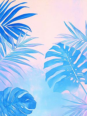 JPG 일러스트 붓터치 나뭇잎 열대 사람없음 여름 파란색 물감 혼합 질감 야자수잎 몬스테라 파스텔톤 몽환 카피스페이스 국내일러스트 AI일러스트 AI콘텐츠 식물 계절 컬러 컨셉 잎 공백 미술도구 파일형식