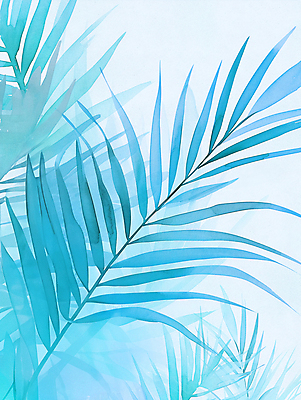 JPG 하늘색 일러스트 붓터치 나뭇잎 열대 사람없음 여름 물감 질감 청록색 겹침 야자수잎 몽환 카피스페이스 국내일러스트 AI일러스트 AI콘텐츠 계절 컬러 컨셉 잎 파란색 공백 미술도구 파일형식
