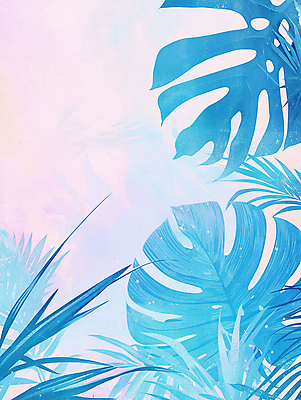 JPG 일러스트 붓터치 열대 사람없음 여름 물감 혼합 질감 청록색 야자수잎 몬스테라 파스텔톤 몽환 카피스페이스 국내일러스트 AI일러스트 AI콘텐츠 식물 계절 컬러 컨셉 잎 공백 미술도구 파일형식