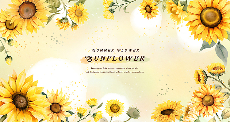 PSD 꽃잎 백그라운드 잎 일러스트 여름꽃 해바라기 수채화 프레임 사람없음 여름 노란색 국내일러스트 식물 계절 꽃 컬러 파일형식 여름_계절