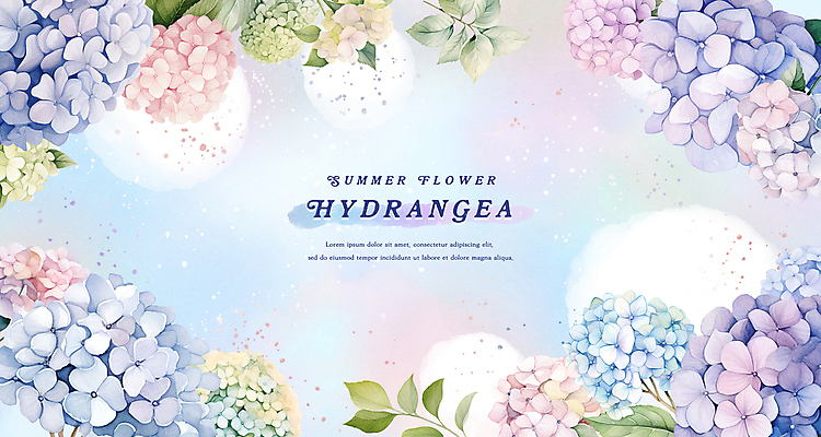 PSD 꽃잎 백그라운드 잎 일러스트 여름꽃 수채화 프레임 사람없음 여름 파란색 수국 국내일러스트 식물 계절 꽃 컬러 파일형식 여름_계절