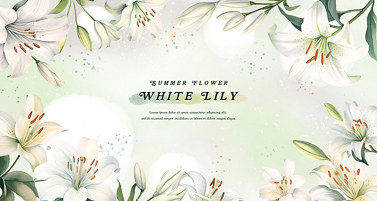 PSD 꽃잎 백그라운드 잎 일러스트 여름꽃 수채화 프레임 사람없음 초록색 여름 백합 국내일러스트 식물 계절 꽃 컬러 파일형식 여름_계절