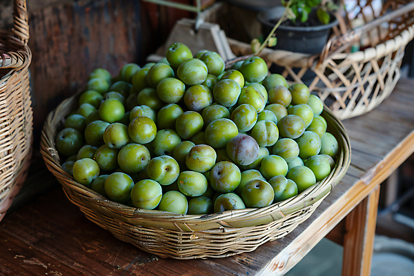 JPG 편집이미지 열매 식재료 자연 사람없음 초록색 봄 가득함 디지털합성 매실 제철 라탄바구니 편집실사 AI포토 AI콘텐츠 식물 계절 컬러 바구니 CG 생태계 파일형식