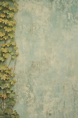 JPG 편집이미지 벽 백그라운드 사람없음 담쟁이덩굴 디지털합성 질감 편집실사 AI포토 AI콘텐츠 덩굴 CG 파일형식