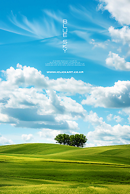 PSD 나무 구름 편집이미지 하늘 풍경 초원 사람없음 초록색 파란색 카피스페이스 이미지편집 자연요소 식물 컬러 공백 파일형식