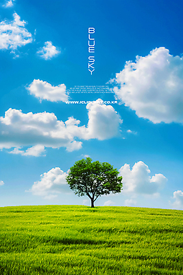 PSD 나무 구름 편집이미지 하늘 풍경 초원 사람없음 초록색 파란색 카피스페이스 이미지편집 자연요소 식물 컬러 공백 파일형식