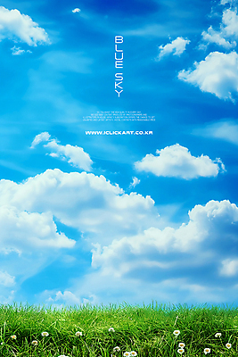 PSD 구름 편집이미지 하늘 풍경 초원 사람없음 초록색 파란색 들꽃 카피스페이스 이미지편집 자연요소 꽃 컬러 공백 파일형식