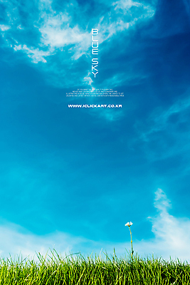 PSD 구름 편집이미지 꽃 하늘 풍경 초원 사람없음 초록색 파란색 카피스페이스 이미지편집 자연요소 식물 컬러 공백 파일형식