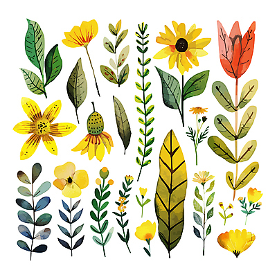 꽃 백그라운드 스티커 일러스트 자연 사람없음 세트 노란색 봄 분위기 엘리먼트 국내일러스트 AI파일 식물 계절 컬러 컨셉 생태계 파일형식 벡터