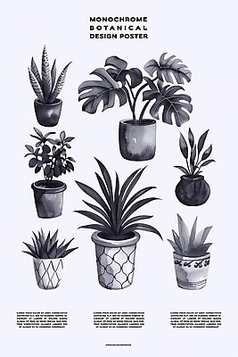 PSD 식물 편집이미지 디자인 포스터 화분 백그라운드 자연 실내 사람없음 장식 회색 분위기 이미지편집 컬러 컨셉 내부 생태계 파일형식