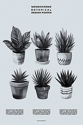 PSD 식물 편집이미지 디자인 포스터 화분 백그라운드 자연 실내 사람없음 장식 회색 분위기 이미지편집 컬러 컨셉 내부 생태계 파일형식