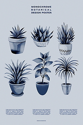 PSD 식물 편집이미지 디자인 포스터 화분 백그라운드 자연 실내 사람없음 장식 회색 분위기 이미지편집 컬러 컨셉 내부 생태계 파일형식