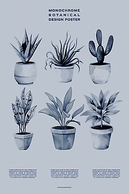PSD 식물 편집이미지 디자인 포스터 화분 백그라운드 자연 실내 사람없음 장식 회색 분위기 이미지편집 컬러 컨셉 내부 생태계 파일형식