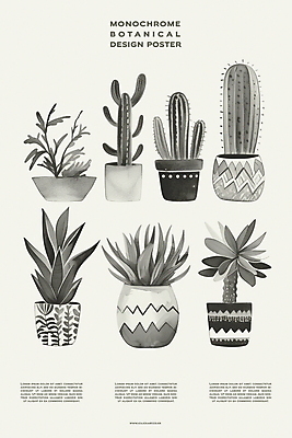 PSD 식물 편집이미지 디자인 포스터 화분 백그라운드 자연 실내 사람없음 장식 회색 분위기 이미지편집 컬러 컨셉 내부 생태계 파일형식