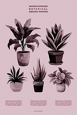 PSD 식물 편집이미지 디자인 포스터 화분 백그라운드 자연 실내 사람없음 장식 회색 분위기 이미지편집 컬러 컨셉 내부 생태계 파일형식