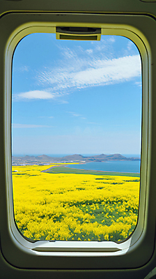 JPG 구름 편집이미지 창 바다 여행 백그라운드 꽃밭 자연 하늘 산 프레임 풍경 사람없음 야외 일상 공간 분위기 창밖 편집실사 AI포토 AI콘텐츠 자연요소 꽃 무기 컨셉 창문 라이프 CG 생태계 파일형식