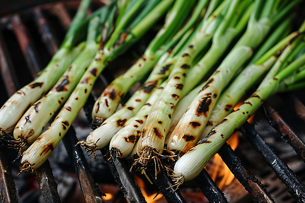 JPG 편집이미지 음식 불 요리 사람없음 뜨거움 그릴 굽기 디지털합성 대파 스페인요리 칼솟타다 편집실사 AI포토 AI콘텐츠 자연요소 주방용품 스페인 구이 CG 파 스페인음식 파일형식