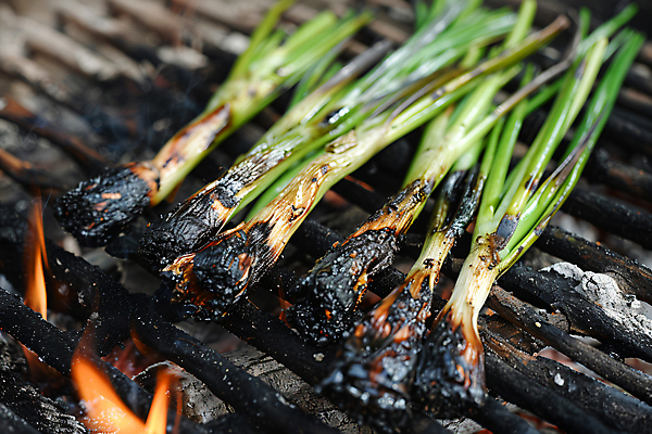 JPG 편집이미지 음식 불 요리 사람없음 뜨거움 그릴 굽기 디지털합성 대파 스페인요리 칼솟타다 편집실사 AI포토 AI콘텐츠 자연요소 주방용품 스페인 구이 CG 파 스페인음식 파일형식