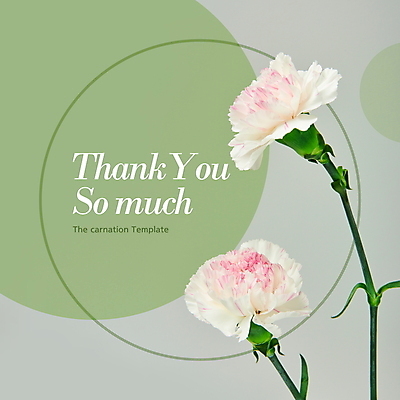 PSD 템플릿 백그라운드 프레임 사랑 타이포그라피 사람없음 초록색 두송이 카네이션 디지털합성 감사 편집소스 이미지템플릿 카드프레임 문자 꽃 감정 컬러 2 파일형식