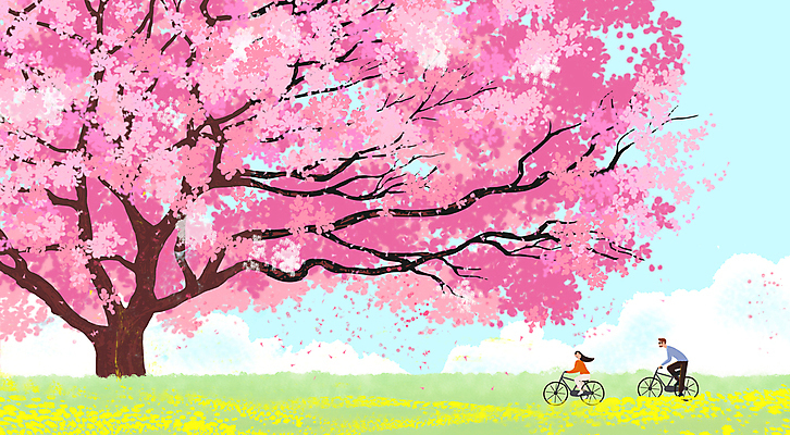 전신 PSD 여자 남자 꽃잎 분홍색 데이트 일러스트 성인 두명 자전거 운전 벚꽃 승차 성인만 봄배경 국내일러스트 꽃 컬러 백그라운드 모션 사람 바이크 봄 파일형식