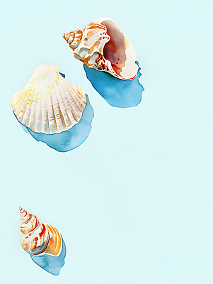 JPG 바다 일러스트 자연 조개 수채화 사람없음 여름 조개껍데기 시원함 질감 청량 국내일러스트 AI일러스트 AI콘텐츠 계절 어패류 생태계 파일형식