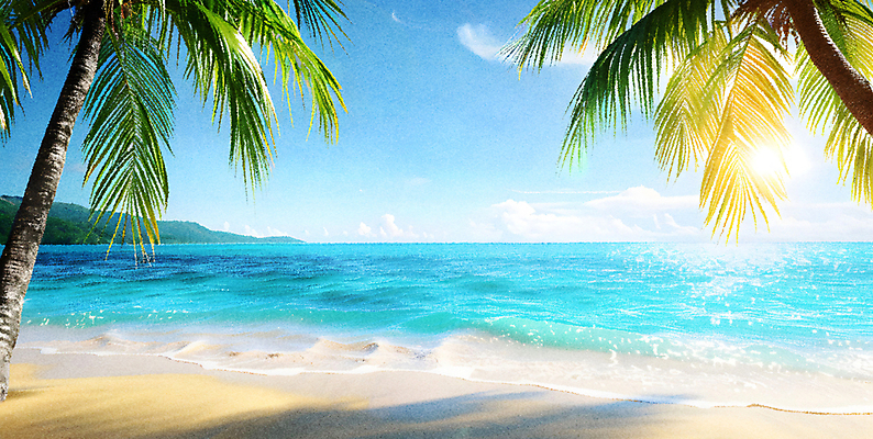 JPG 편집이미지 모래 파도 하늘 휴식 열대 그림자 해변 사람없음 여름휴가 야자수 햇빛 휴양지 편집실사 AI포토 AI콘텐츠 나무 바다 컨셉 휴가 태양 장소 CG 파일형식 여름_계절