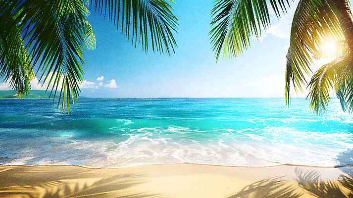 JPG 편집이미지 모래 파도 하늘 휴식 열대 그림자 해변 사람없음 여름휴가 야자수 햇빛 휴양지 편집실사 AI포토 AI콘텐츠 나무 바다 컨셉 휴가 태양 장소 CG 파일형식 여름_계절