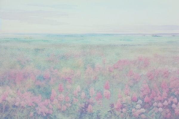 JPG 구름 분홍색 백그라운드 일러스트 자연 하늘 붓터치 수채화 풍경 초원 사람없음 들꽃 질감 감성 파스텔 국내일러스트 AI일러스트 AI콘텐츠 자연요소 꽃 컬러 컨셉 학용품 생태계 파일형식