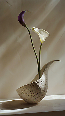 JPG 편집이미지 그림자 사람없음 빛 꽃병 공간 분위기 감성 칼라꽃 편집실사 AI포토 AI콘텐츠 꽃 컨셉 CG 파일형식