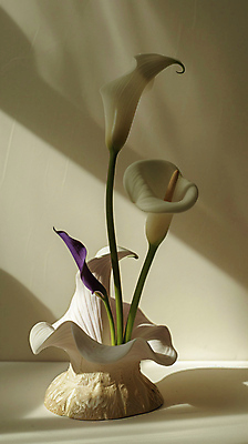 JPG 편집이미지 그림자 사람없음 빛 꽃병 공간 분위기 감성 칼라꽃 편집실사 AI포토 AI콘텐츠 꽃 컨셉 CG 파일형식