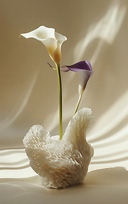 JPG 편집이미지 그림자 사람없음 빛 꽃병 공간 분위기 감성 칼라꽃 편집실사 AI포토 AI콘텐츠 꽃 컨셉 CG 파일형식