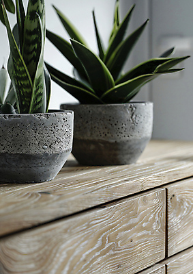 JPG 편집이미지 화분 화초 백그라운드 실내 사람없음 인테리어 봄 공간 우아함 서랍장 편집실사 AI포토 AI콘텐츠 식물 디자인 계절 가구 컨셉 내부 CG 파일형식