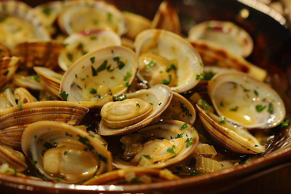 JPG 편집이미지 그릇 요리 사람없음 신선 디지털합성 탕 야식 바지락 파슬리가루 술찜 편집실사 AI포토 AI콘텐츠 식기 음식 조개 가루 CG 찜 파일형식