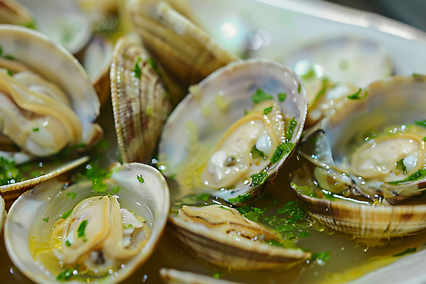 JPG 편집이미지 그릇 요리 사람없음 신선 디지털합성 탕 야식 파 바지락 술찜 편집실사 AI포토 AI콘텐츠 식기 음식 채소 조개 CG 찜 파일형식