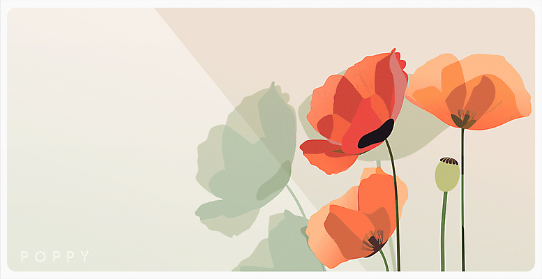 포스터 일러스트 프레임 사람없음 초록색 여름 봄 우아함 오브젝트 양귀비 카피스페이스 국내일러스트 AI파일 카드프레임 계절 꽃 컬러 컨셉 공백 파일형식 벡터