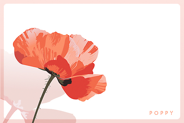 포스터 분홍색 일러스트 프레임 사람없음 여름 봄 우아함 오브젝트 양귀비 카피스페이스 국내일러스트 AI파일 카드프레임 계절 꽃 컬러 컨셉 공백 파일형식 벡터