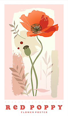 포스터 분홍색 일러스트 프레임 사람없음 여름 봄 풀잎 우아함 오브젝트 양귀비 카피스페이스 국내일러스트 AI파일 카드프레임 계절 꽃 컬러 컨셉 잎 공백 풀_식물 파일형식 벡터