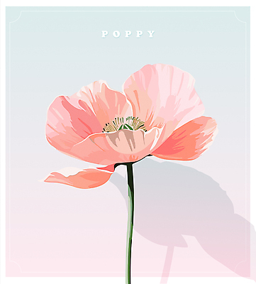 포스터 분홍색 일러스트 프레임 사람없음 여름 파란색 봄 우아함 오브젝트 양귀비 카피스페이스 국내일러스트 AI파일 카드프레임 계절 꽃 컬러 컨셉 공백 파일형식 벡터