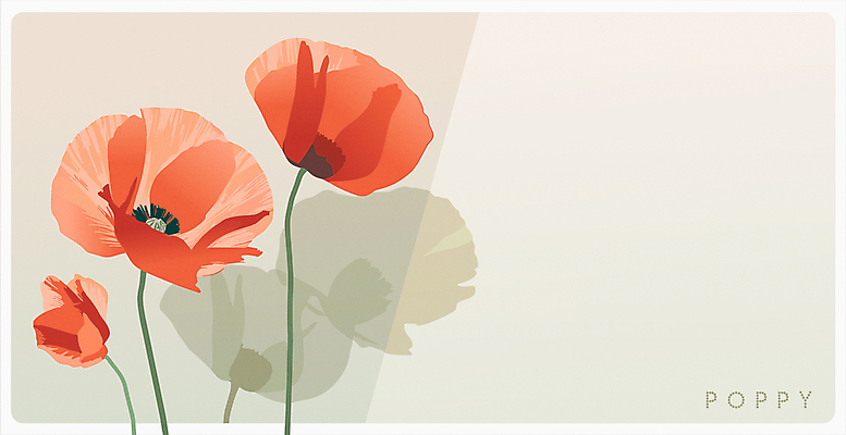 포스터 일러스트 프레임 사람없음 초록색 여름 봄 우아함 오브젝트 양귀비 카피스페이스 국내일러스트 AI파일 카드프레임 계절 꽃 컬러 컨셉 공백 파일형식 벡터