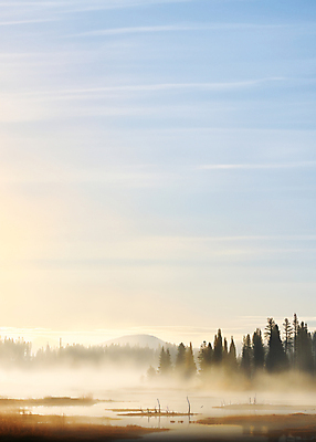 JPG 나무 편집이미지 백그라운드 자연 산 풍경 사람없음 노을 안개 숲 편집실사 AI포토 AI콘텐츠 자연요소 식물 날씨 CG 생태계 파일형식