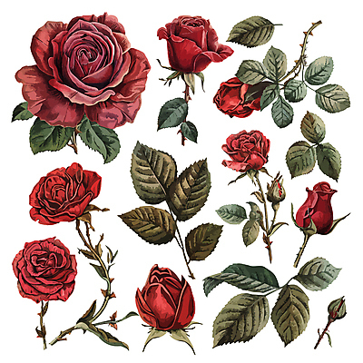 꽃 줄기 잎 일러스트 사람없음 빨간색 초록색 세트 장미 다양 꽃봉오리 엘리먼트 국내일러스트 AI파일 식물 컬러 다수 파일형식 벡터
