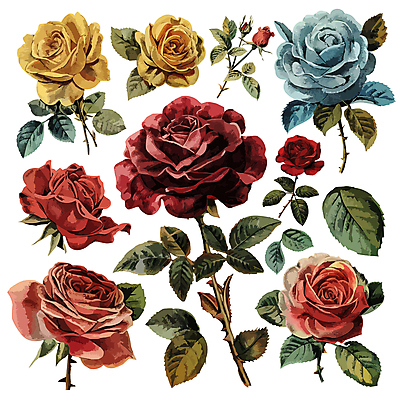 꽃 줄기 잎 일러스트 사람없음 빨간색 파란색 세트 장미 다양 엘리먼트 국내일러스트 AI파일 식물 컬러 다수 파일형식 벡터