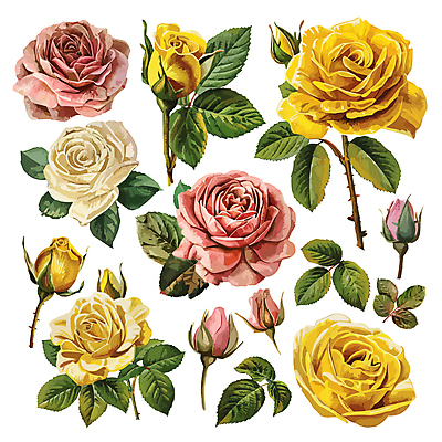 꽃 줄기 분홍색 잎 일러스트 사람없음 세트 장미 노란색 다양 꽃봉오리 엘리먼트 국내일러스트 AI파일 식물 컬러 다수 파일형식 벡터