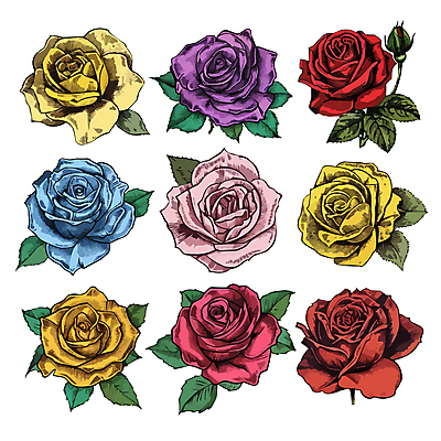 꽃 잎 일러스트 사람없음 세트 컬러풀 장미 다양 엘리먼트 국내일러스트 AI파일 식물 컬러 다수 파일형식 벡터