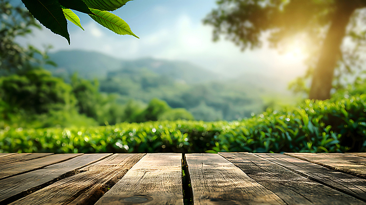 JPG 나무 식물 편집이미지 백그라운드 탁자 아침 산 풍경 사람없음 야외 초록색 햇빛 농장 농경지 신선 디지털합성 편집소스 편집실사 AI포토 AI콘텐츠 주간 컬러 가구 농업 태양 CG 파일형식