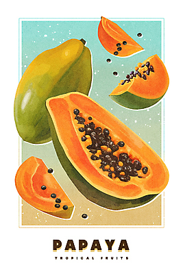 PSD 열매 포스터 조각 일러스트 페인팅 단면 프레임 사람없음 주황색 열대과일 질감 그라데이션 유화 파파야 국내일러스트 식물 컬러 과일 미술 파일형식