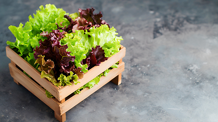 JPG 편집이미지 사람없음 농장 신선 상추 나무상자 유기농 나무접시 카피스페이스 편집실사 AI포토 AI콘텐츠 접시 웰빙 농업 채소 상자 공백 CG 파일형식