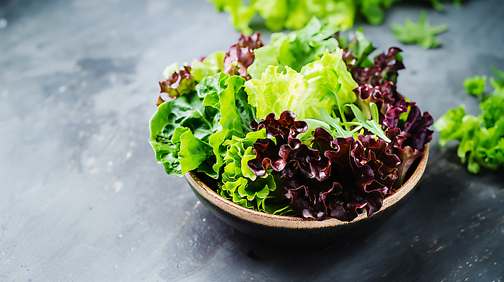 JPG 편집이미지 그릇 사람없음 농장 신선 상추 유기농 나무접시 카피스페이스 편집실사 AI포토 AI콘텐츠 식기 접시 웰빙 농업 채소 공백 CG 파일형식