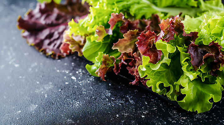 JPG 편집이미지 사람없음 농장 신선 상추 유기농 카피스페이스 편집실사 AI포토 AI콘텐츠 웰빙 농업 채소 공백 CG 파일형식